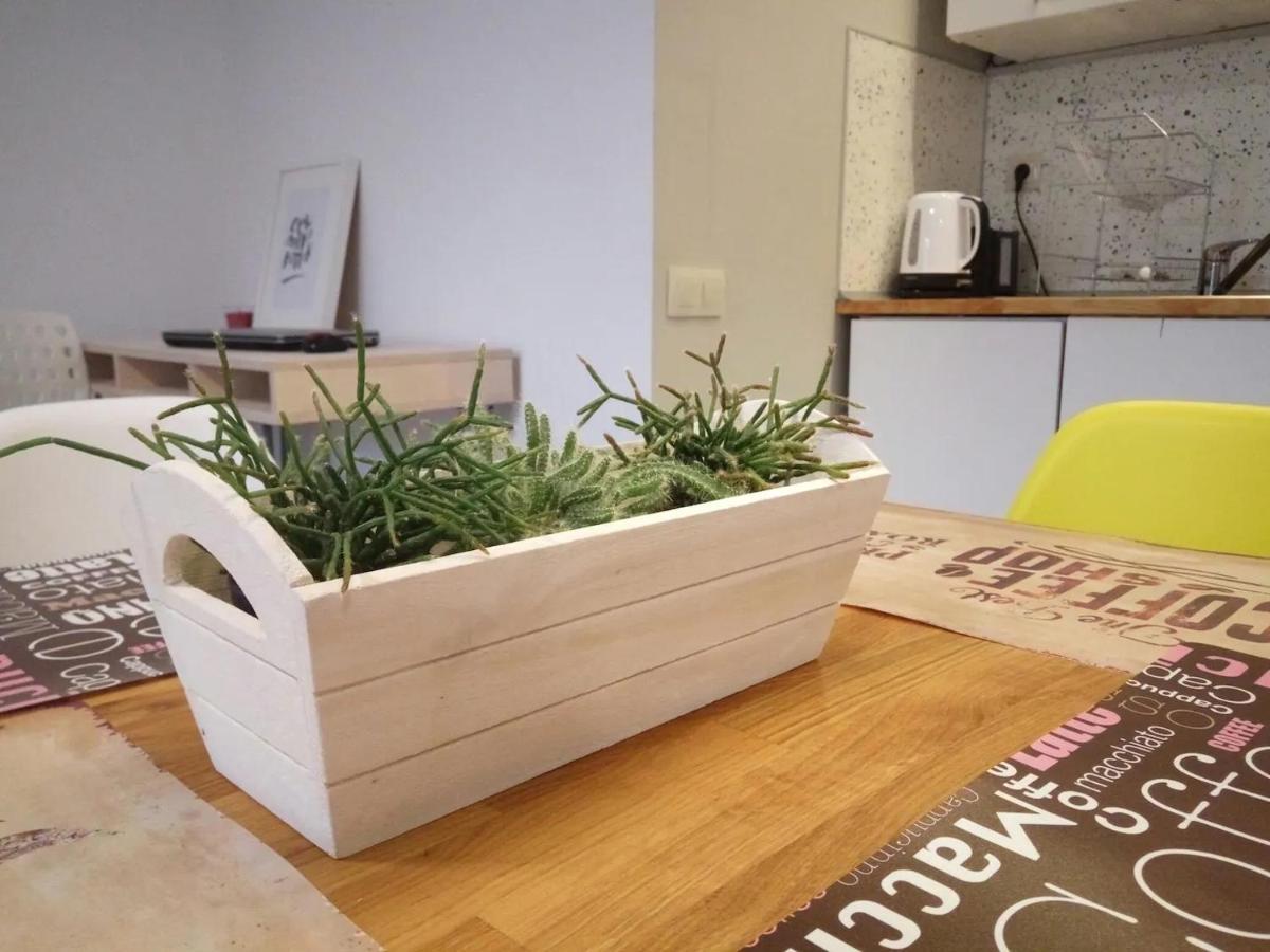 Quiet & Airy Modern Apt. Top Centre Free Parking София Экстерьер фото